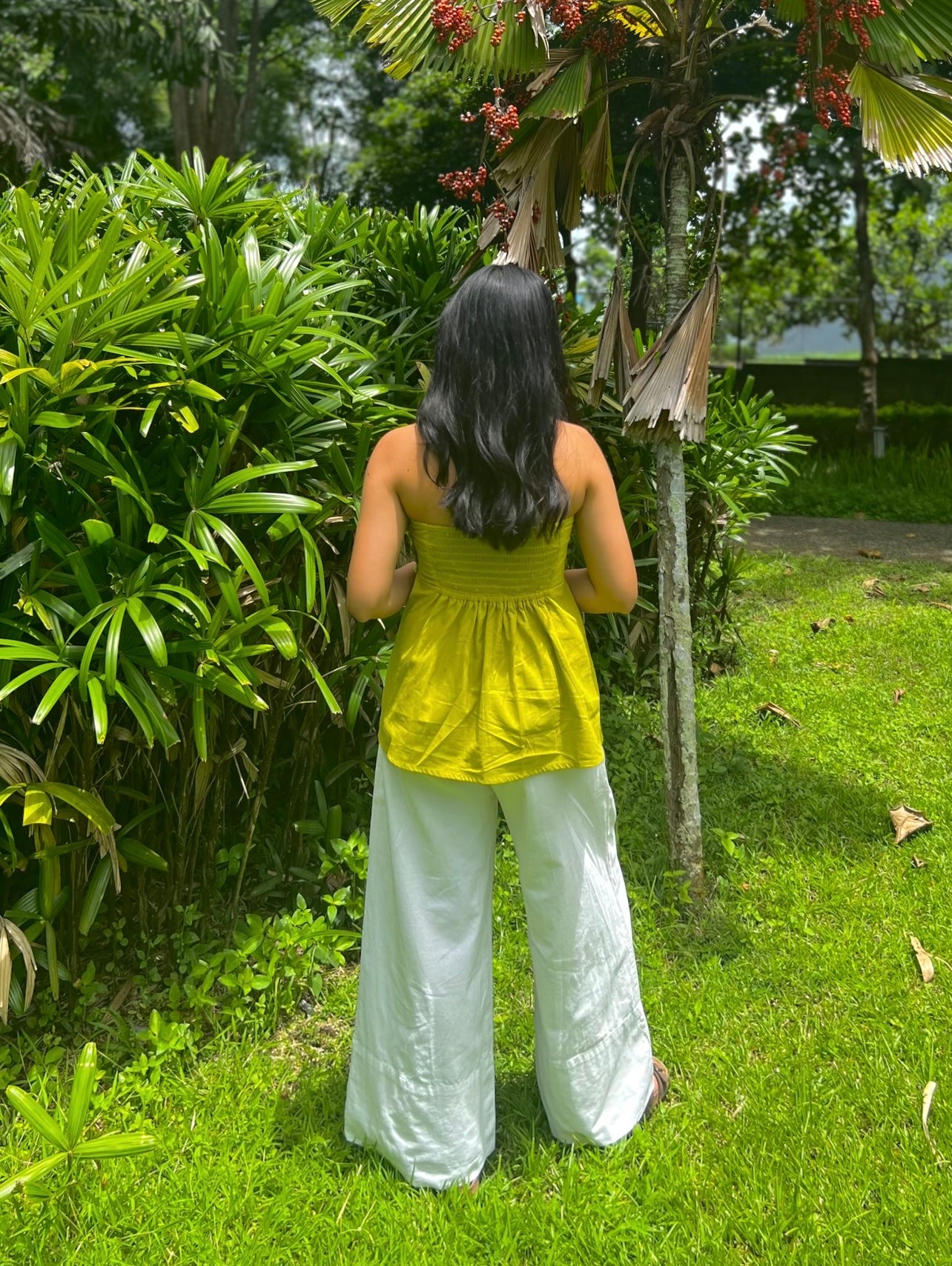 Merry Top in Olive Yellow