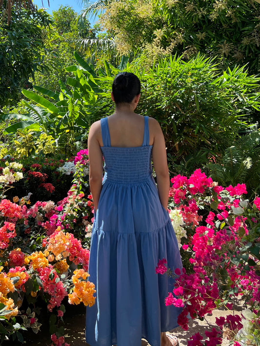 Psalm Dress in French Blue