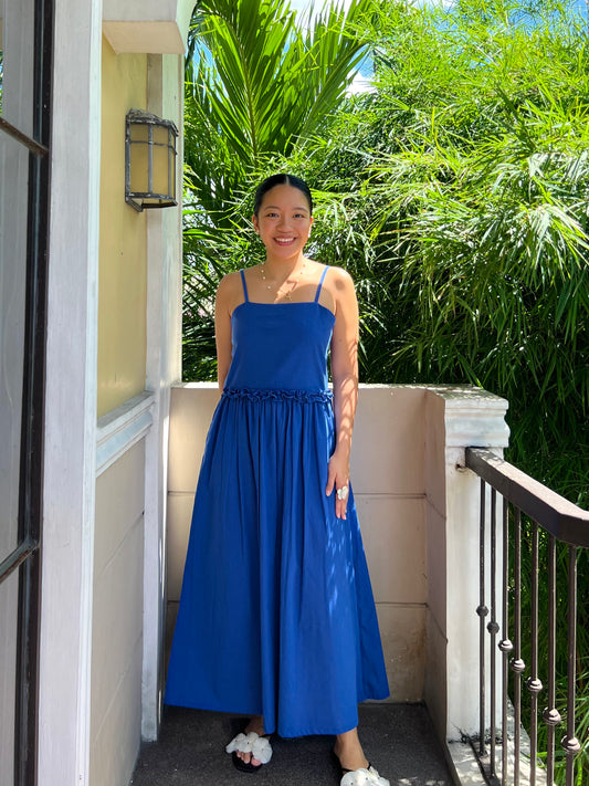 Lucerne Dress in Blue