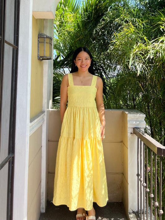 Psalm Dress in Eyelet 015 with Lining