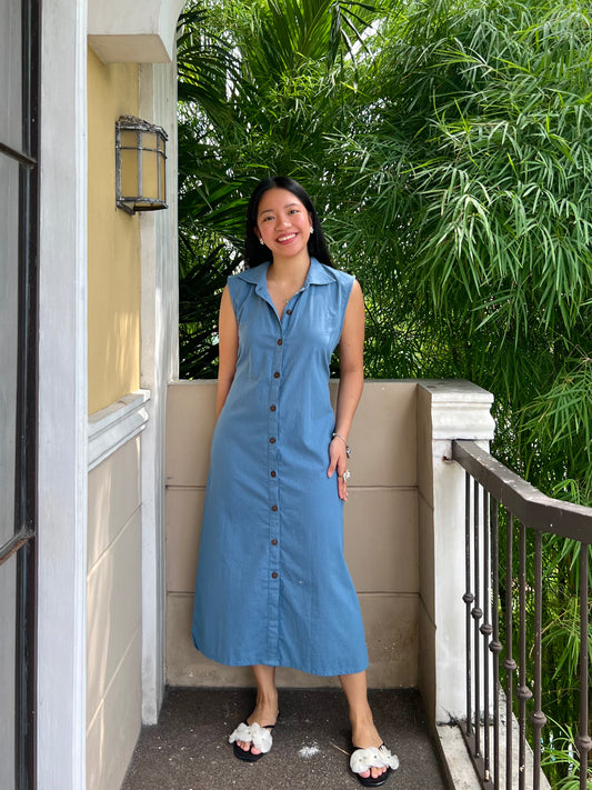 Arizona Dress in French Blue