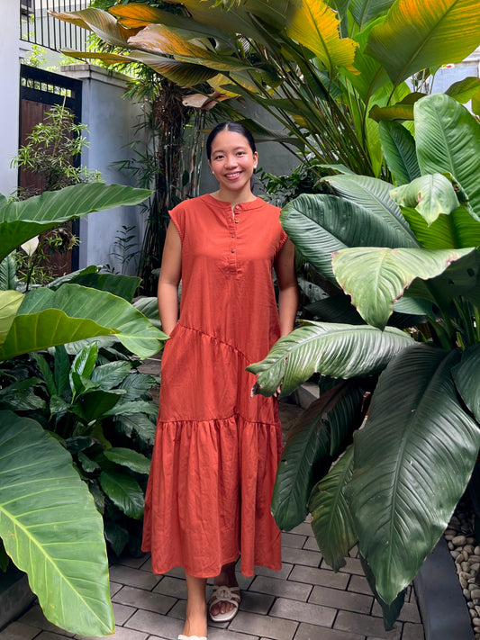 Napa Dress in Rust